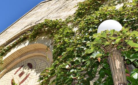 Close up of McNeal Hall exterior